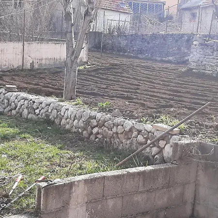 Dubritg